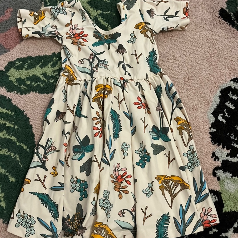 Alice + Ames 3T Dress NWOT!